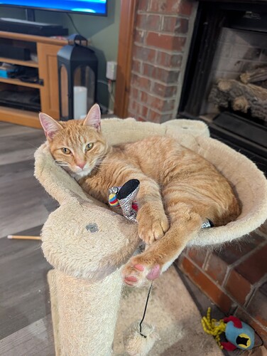 PXL_20251126_172100111