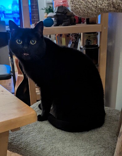 PXL_20260201_045309473