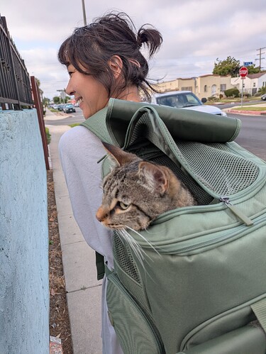 PXL_20250606_005937407.MP