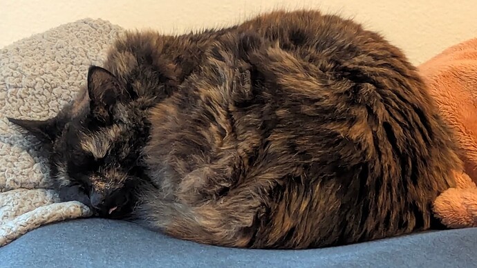 PXL_20251117_231745745