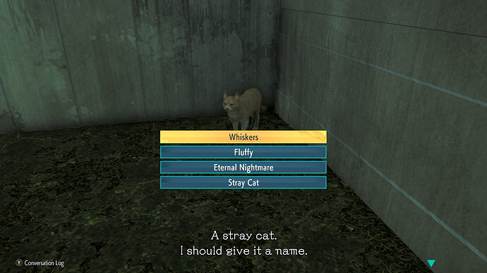 b442d1d1-9b52-4a5a-966b-f5d5900e5cc2-1