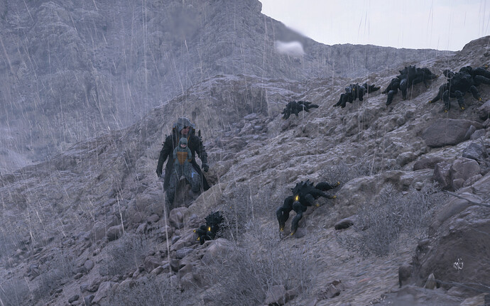 ds_spiders_crop