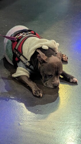 PXL_20260115_062132232