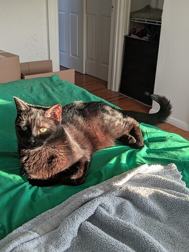 PXL_20250409_223329707