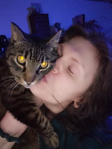 cdbedc3c-3a49-48fb-af44-9b7a45bc4aaf