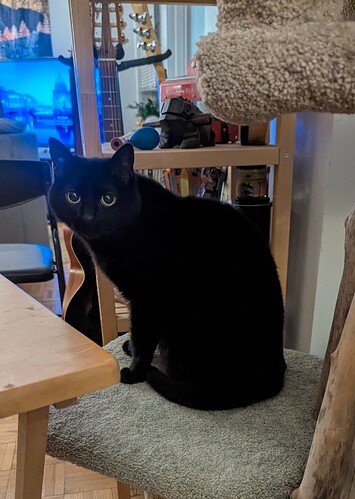 PXL_20260201_045307938