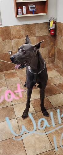 Screenshot_20230225_125047_Gallery