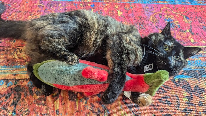 PXL_20241210_231705320