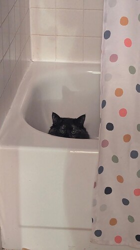 PXL_20241207_040646756