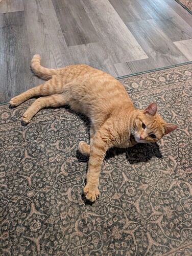 PXL_20260308_145023416