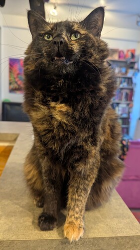 PXL_20260205_175042621