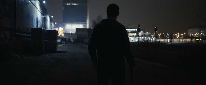 Verbrannte.Erde.2024.German.EAC3.1080p.WEB.H264-SiXTYNiNE.mkv_snapshot_01.30.58_2024-12-10_09.41.49