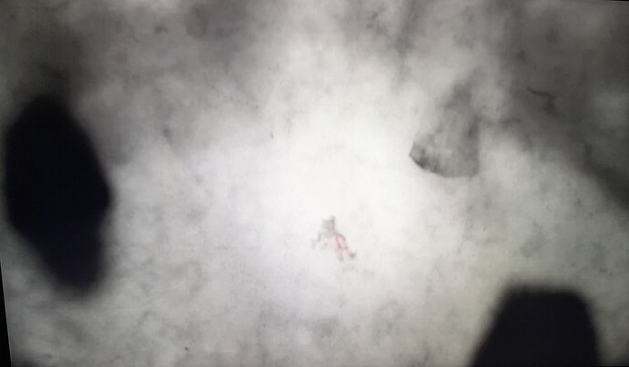 PXL_20251115_194336549