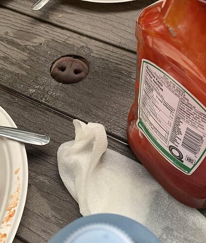 FB_IMG_1752159894631