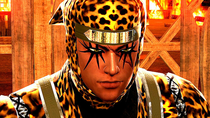 73_kag_cheetah