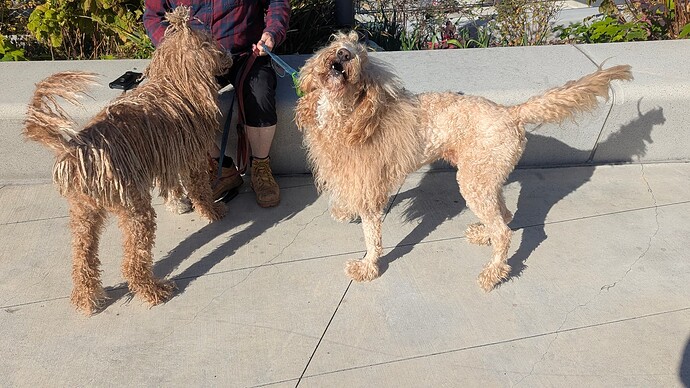 PXL_20251021_210126558