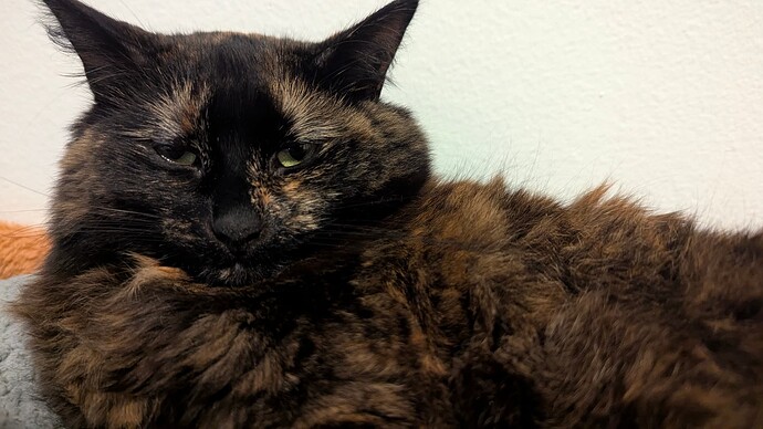 PXL_20260105_003705110