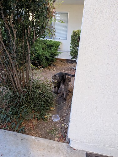 PXL_20250717_033447433