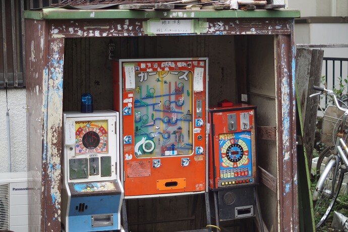 52059120259_9237caa060_o