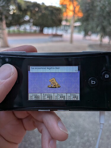 PXL_20260220_085027792.MACRO_FOCUS