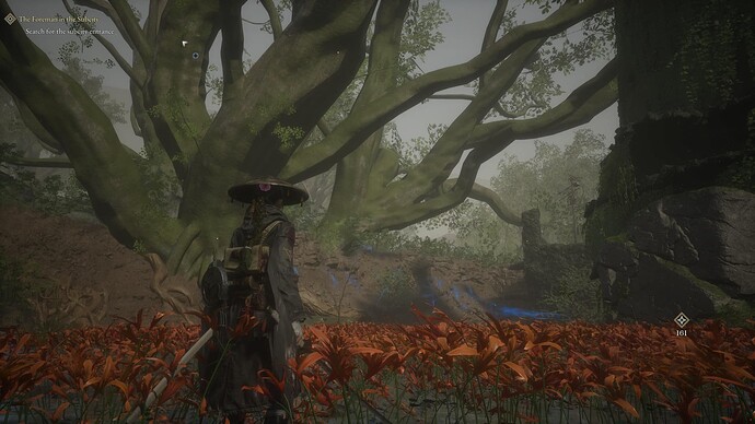 19fcee641d683-screenshotUrl