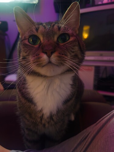 IDG_20251005_213213_767