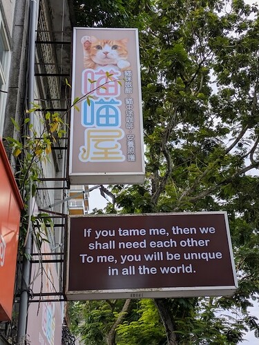 PXL_20250531_234049611