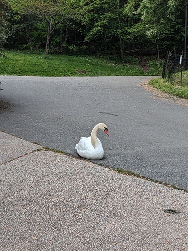 PXL_20240513_195145365.MP