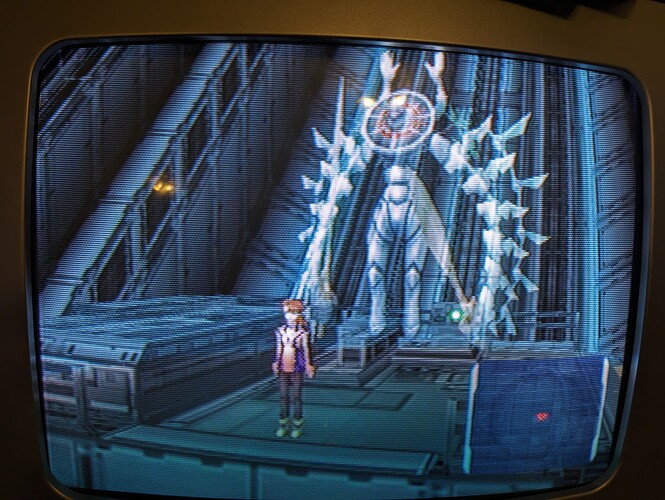 PXL_20240318_031346460