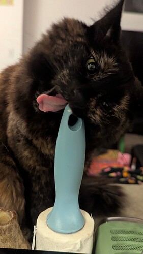 PXL_20260114_061539630