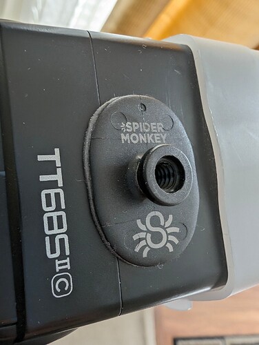 PXL_20240319_160236932