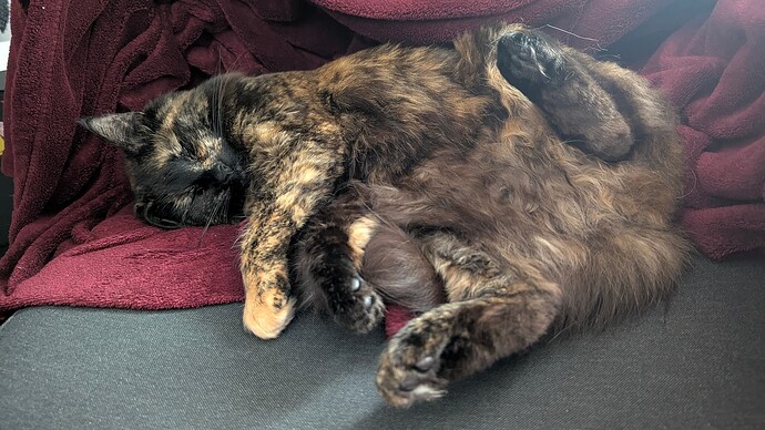 PXL_20250501_000139354