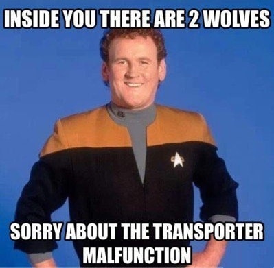 two_wolves