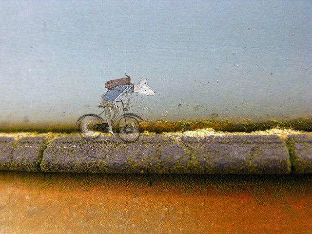 Lotte Van Dijck - bicycle