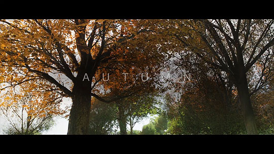 25_autumn_creep