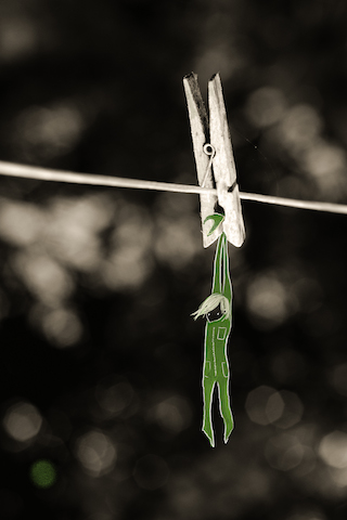 Lotte Van Dijck - clothespin