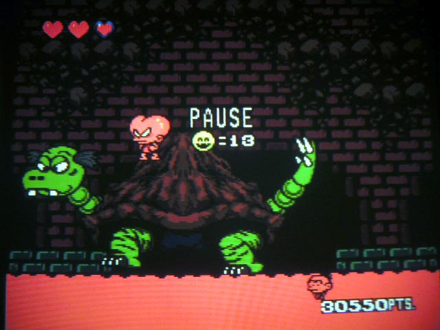 pg2_turtleboss