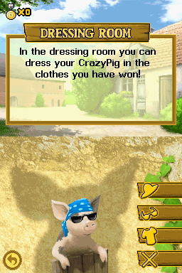 16714968-crazy-pig-nintendo-ds-dressing-room