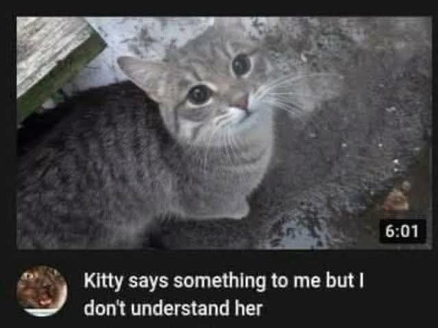 FB_IMG_1762029385759