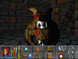 00_rat