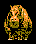 Hippopotamus